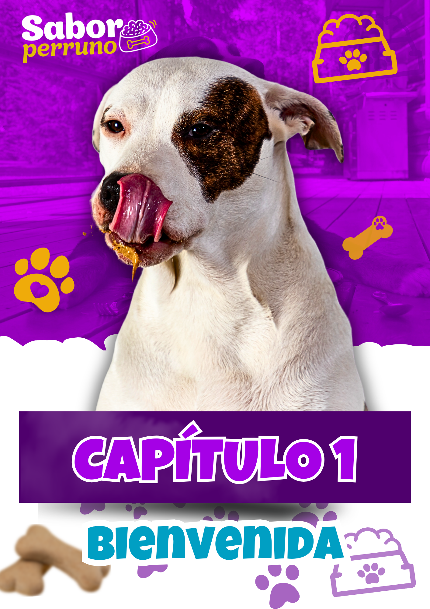 Pack Completo Mascotas | 250 Recetas para Perros y Gatos | Descarga Inmediata