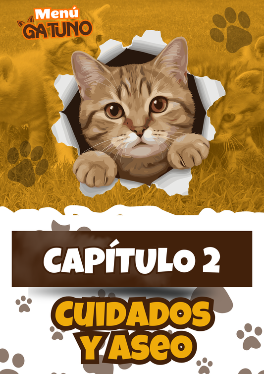 Menú Gatuno | 100 Recetas Caseras para Gatos | Descarga Inmediata