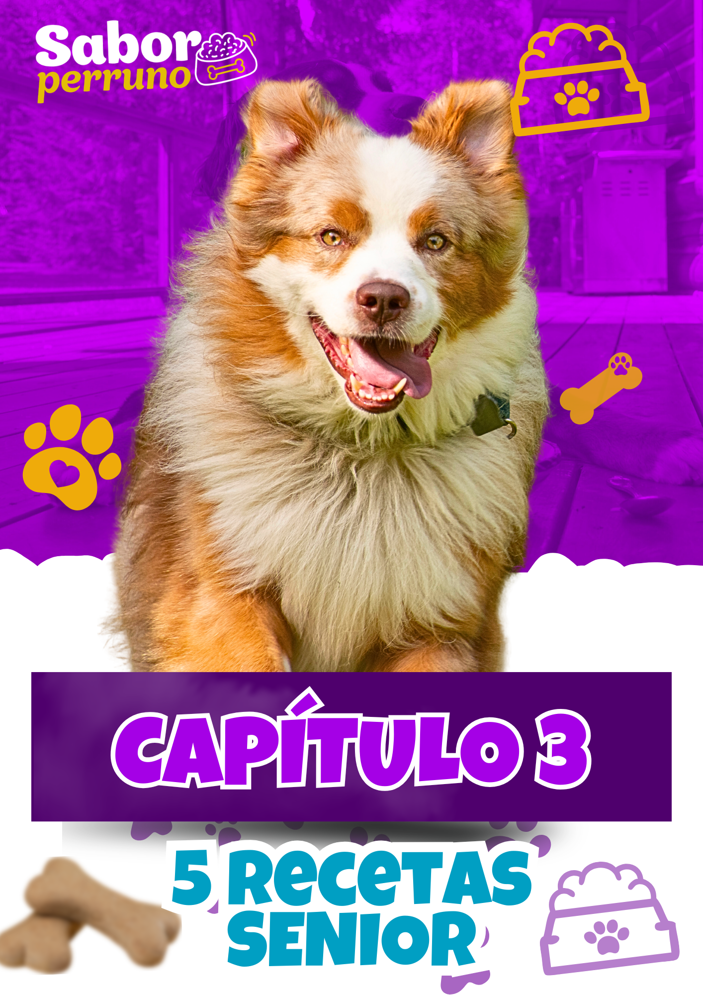 Pack Completo Mascotas | 250 Recetas para Perros y Gatos | Descarga Inmediata