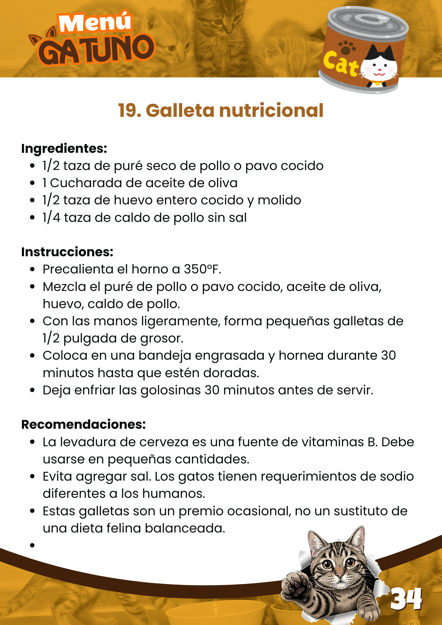 Menú Gatuno | 100 Recetas Caseras para Gatos | Descarga Inmediata