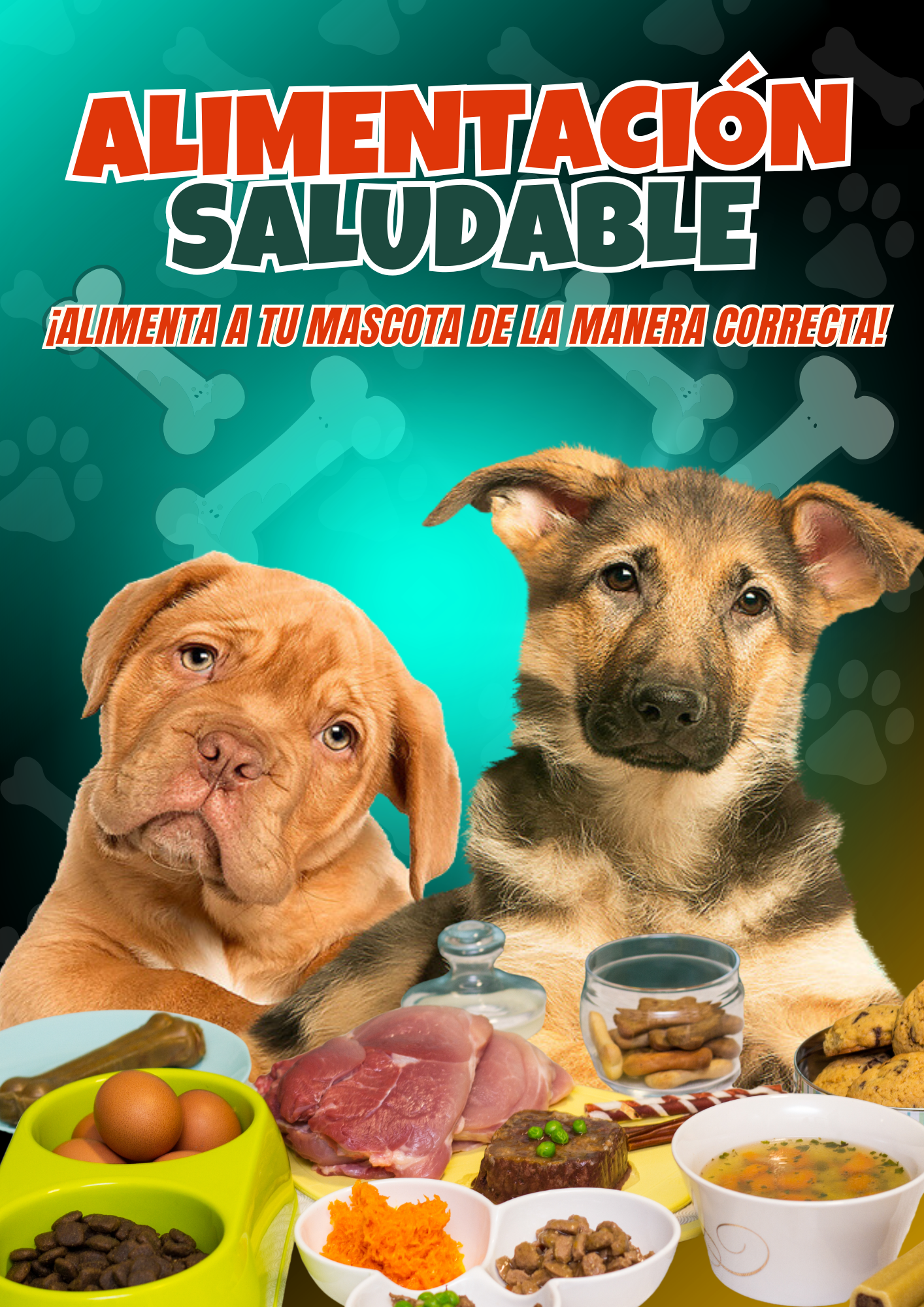 Pack Completo Mascotas | 250 Recetas para Perros y Gatos | Descarga Inmediata
