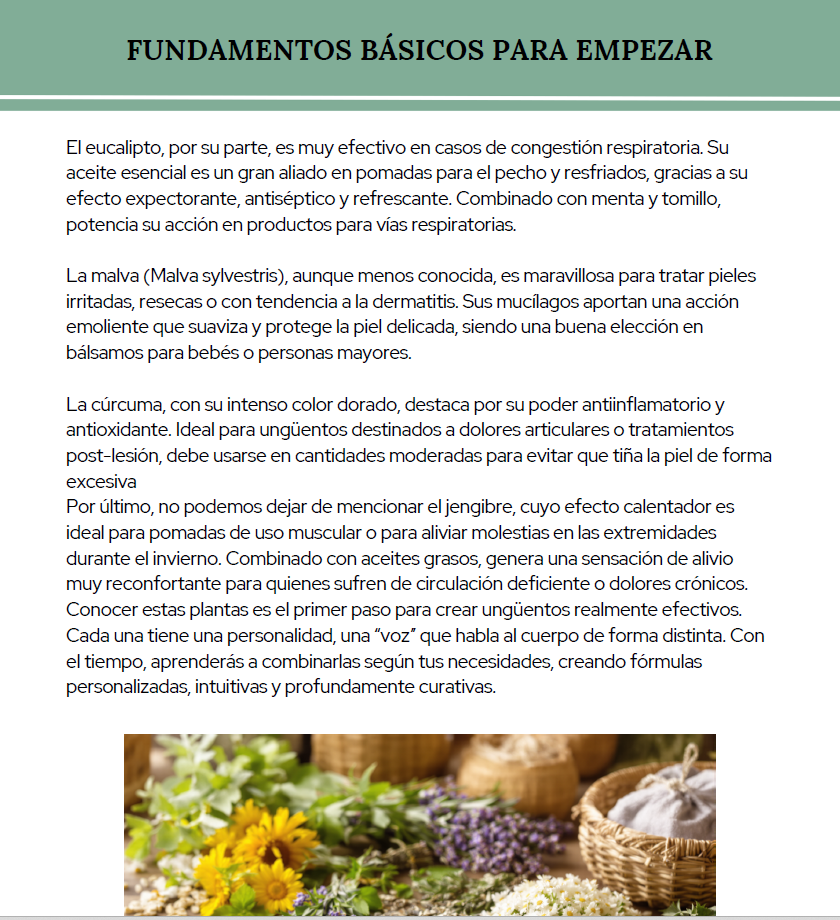 Bálsamos caseros para el bienestar muscular y articular con plantas medicinales
